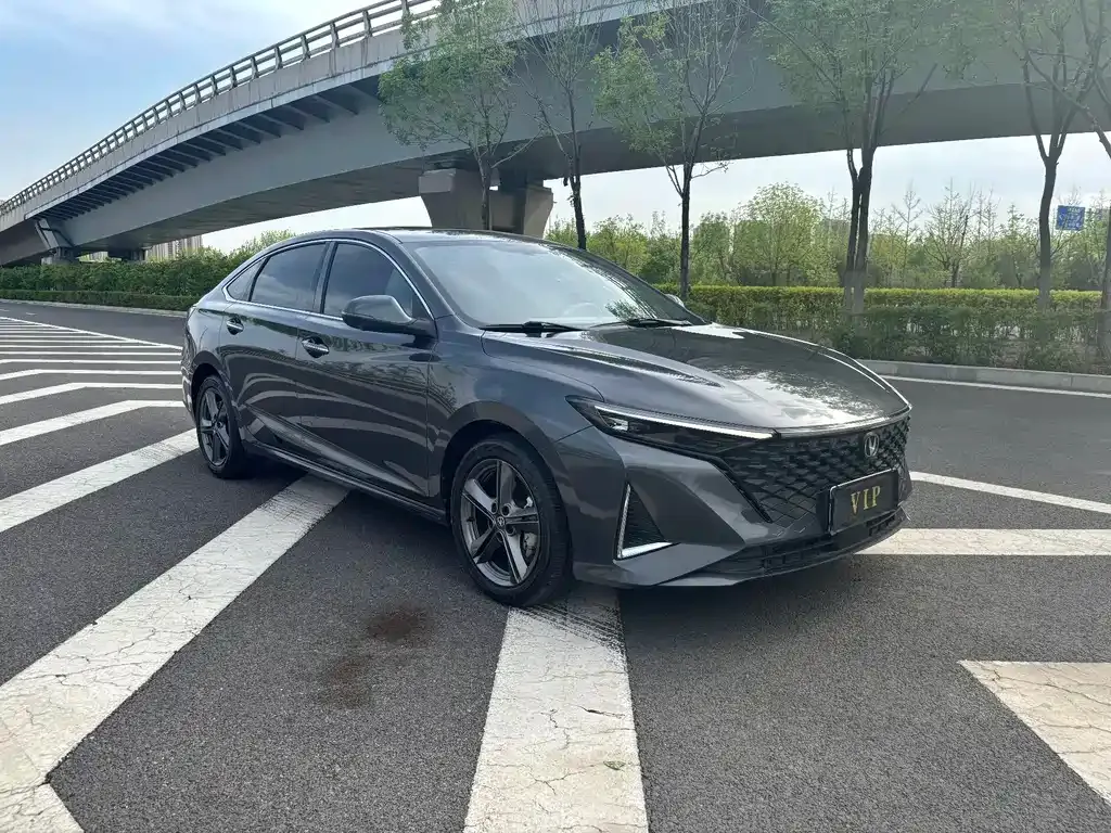 Changan Ruicheng PLUS 2023 из CN, фото 3