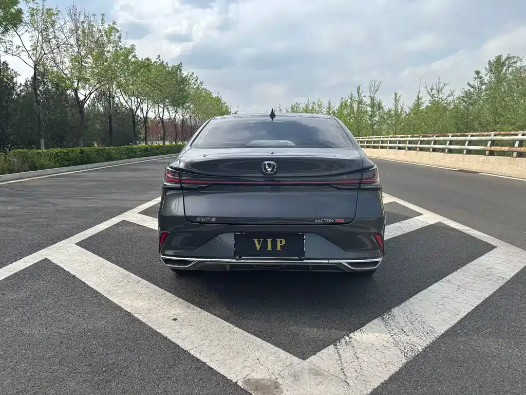 Changan Ruicheng PLUS 2023 из CN, фото 9