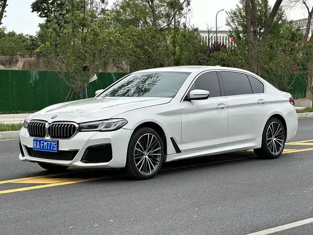 BMW 5 Series 2021 из CN, фото 1