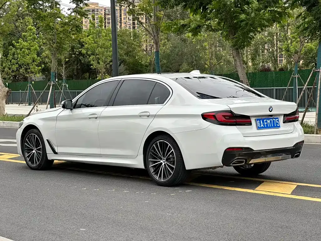 BMW 5 Series 2021 из CN, фото 10