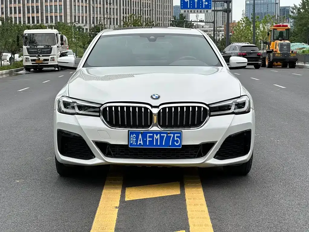 BMW 5 Series 2021 из CN, фото 2