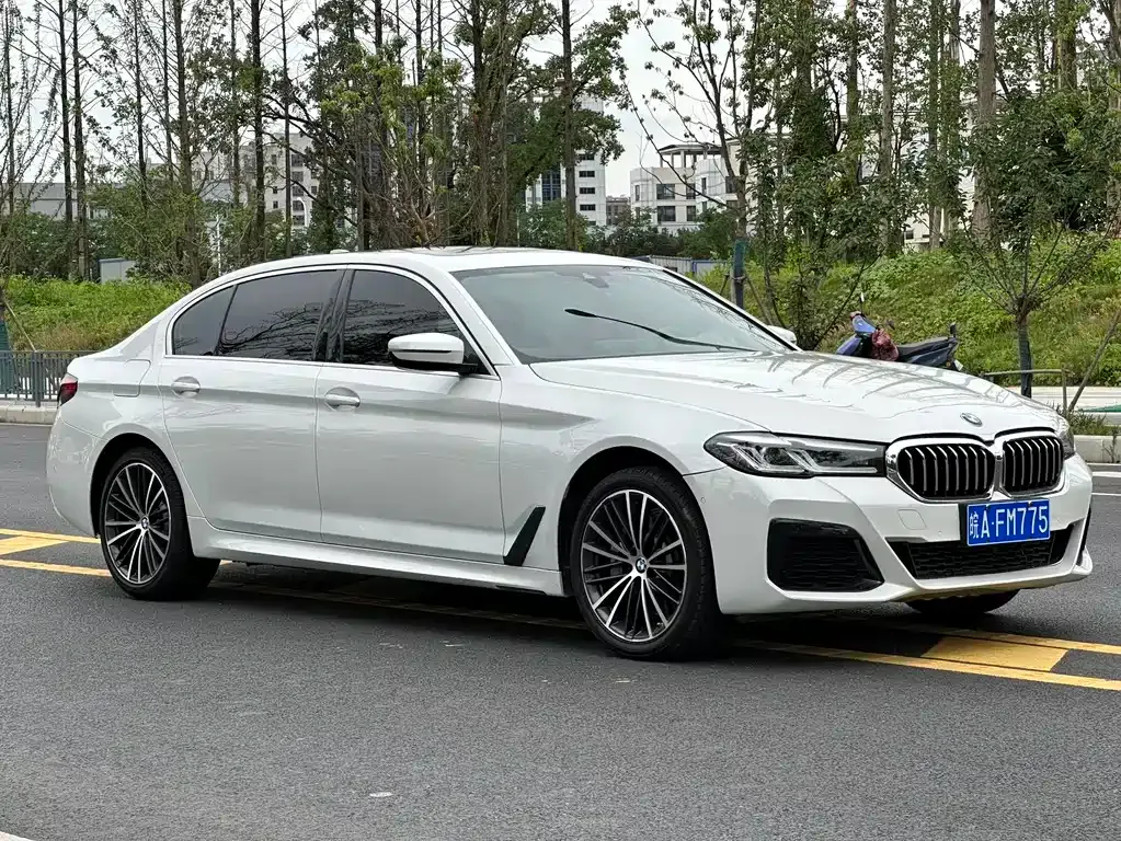 BMW 5 Series 2021 из CN, фото 3