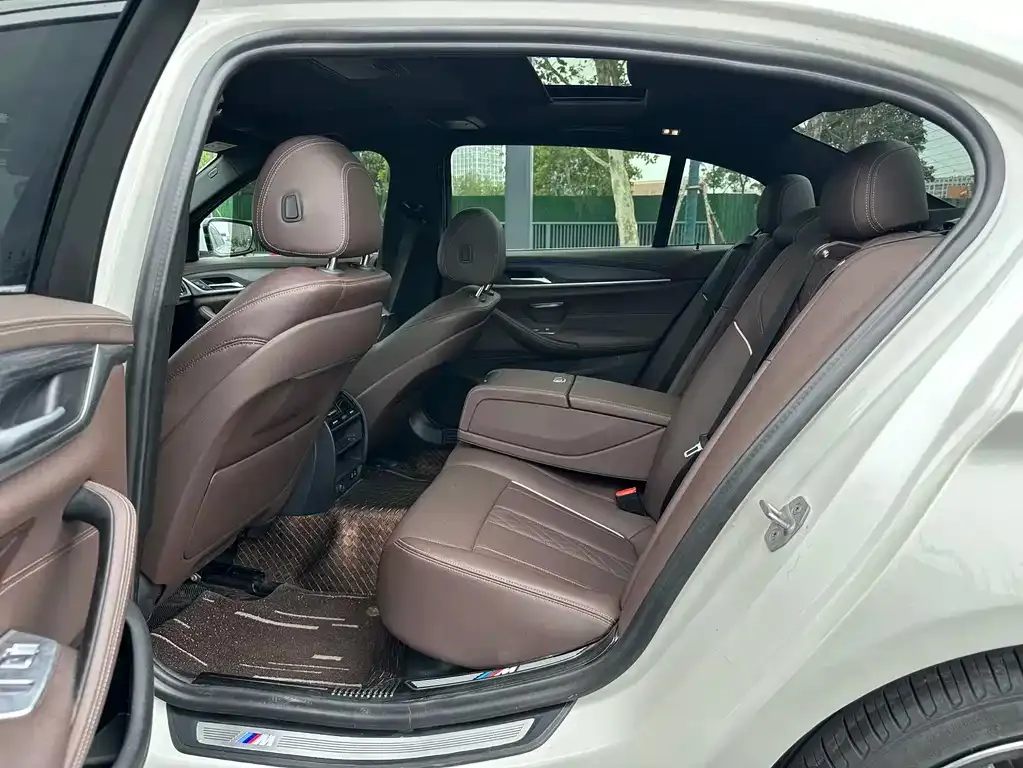 BMW 5 Series 2021 из CN, фото 4
