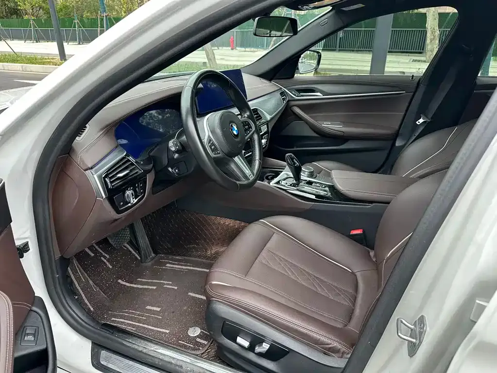 BMW 5 Series 2021 из CN, фото 6