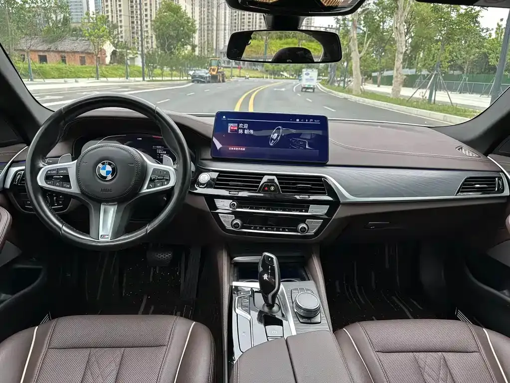 BMW 5 Series 2021 из CN, фото 7