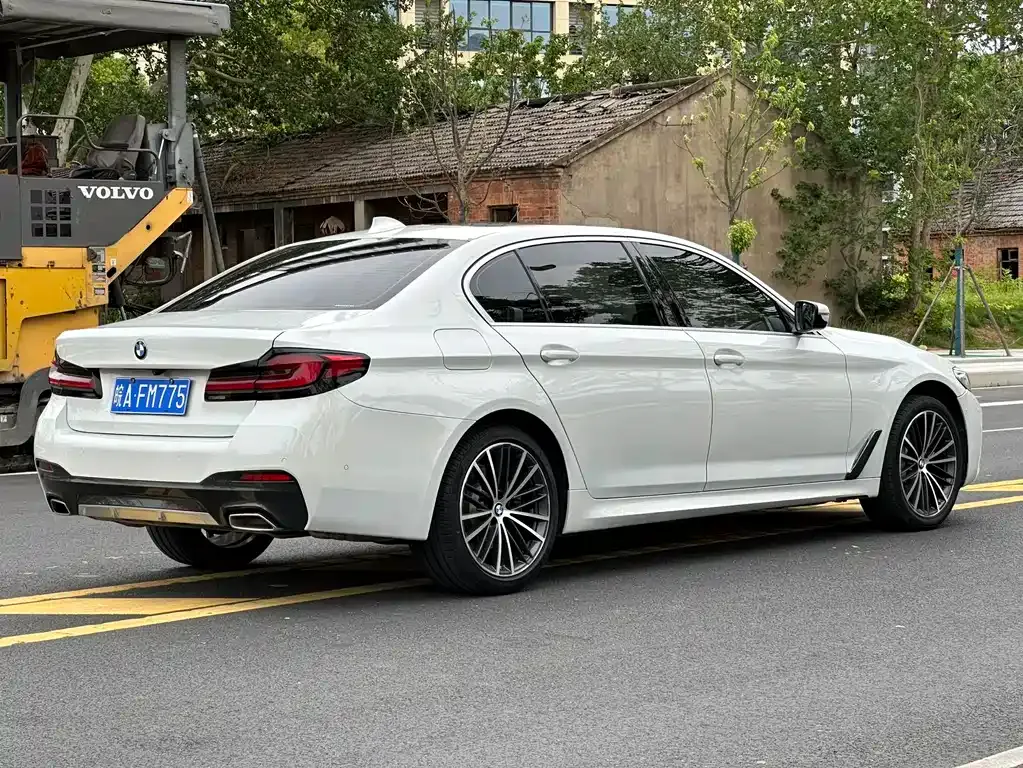 BMW 5 Series 2021 из CN, фото 8