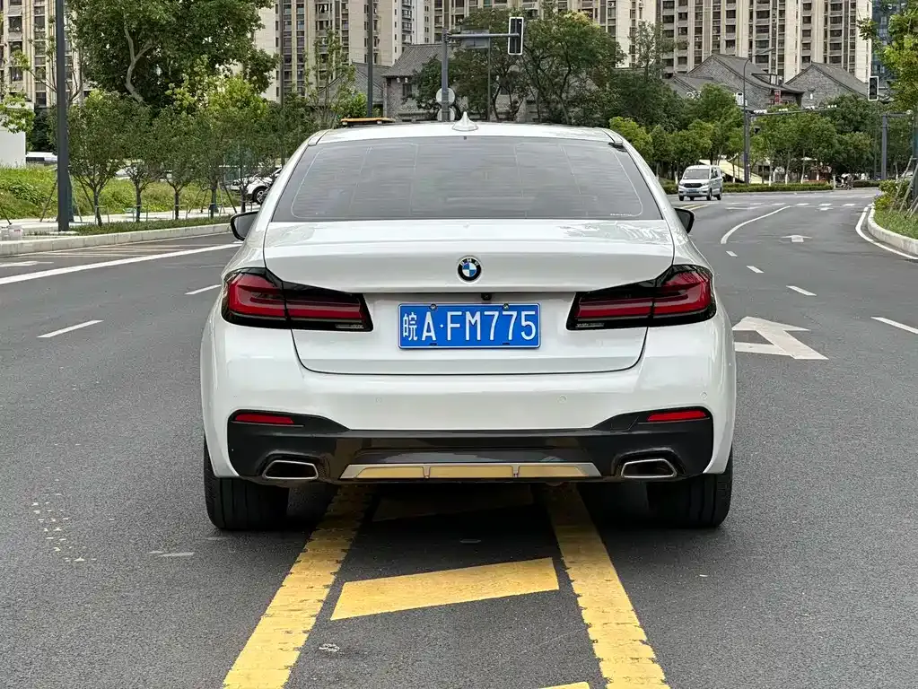 BMW 5 Series 2021 из CN, фото 9
