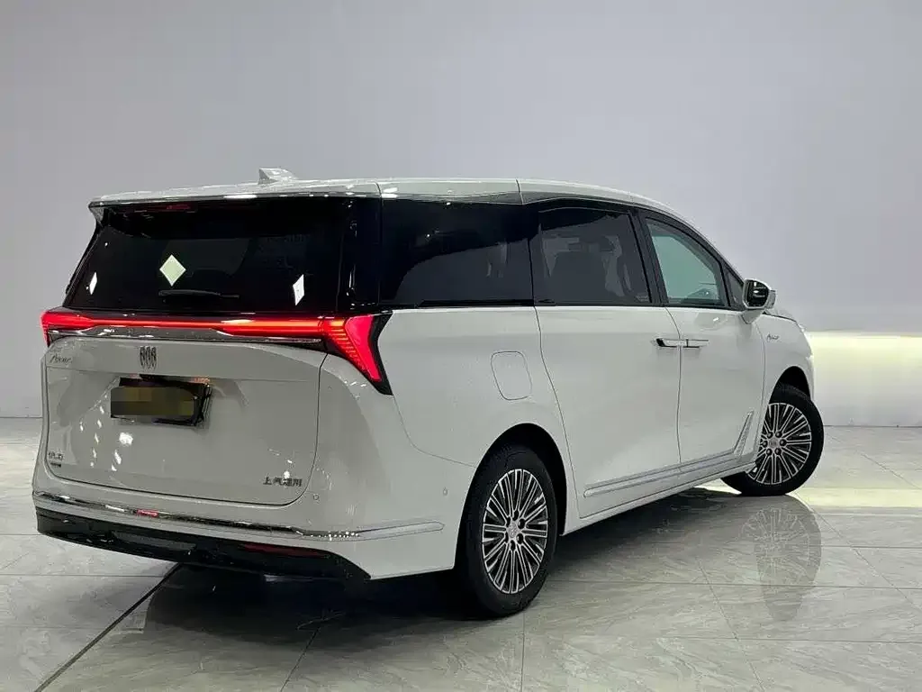 Buick GL8 Hybrid — фото 6