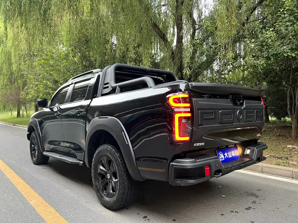 Great Wall Pao 2022 из CN, фото 4