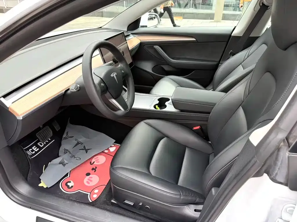 Tesla Model 3 2022 из CN, фото 5