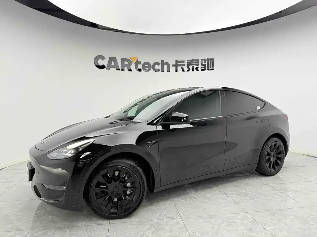Tesla Model Y 2021 из CN, фото 1