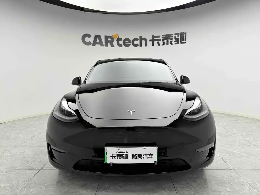 Tesla Model Y 2021 из CN, фото 2