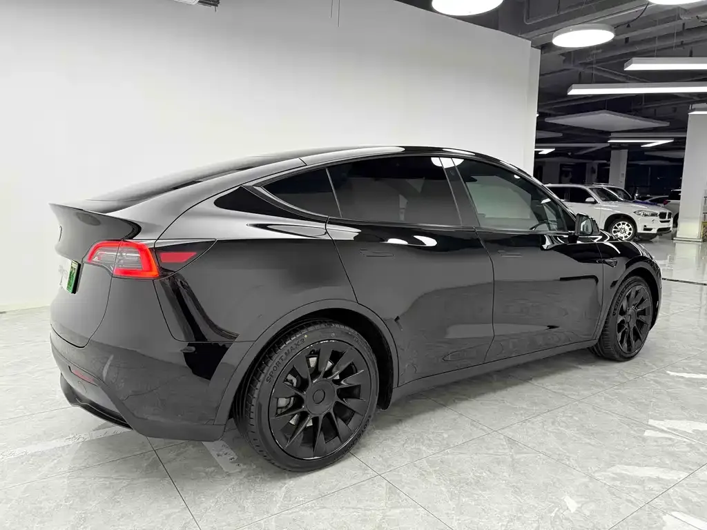 Tesla Model Y 2021 из CN, фото 4