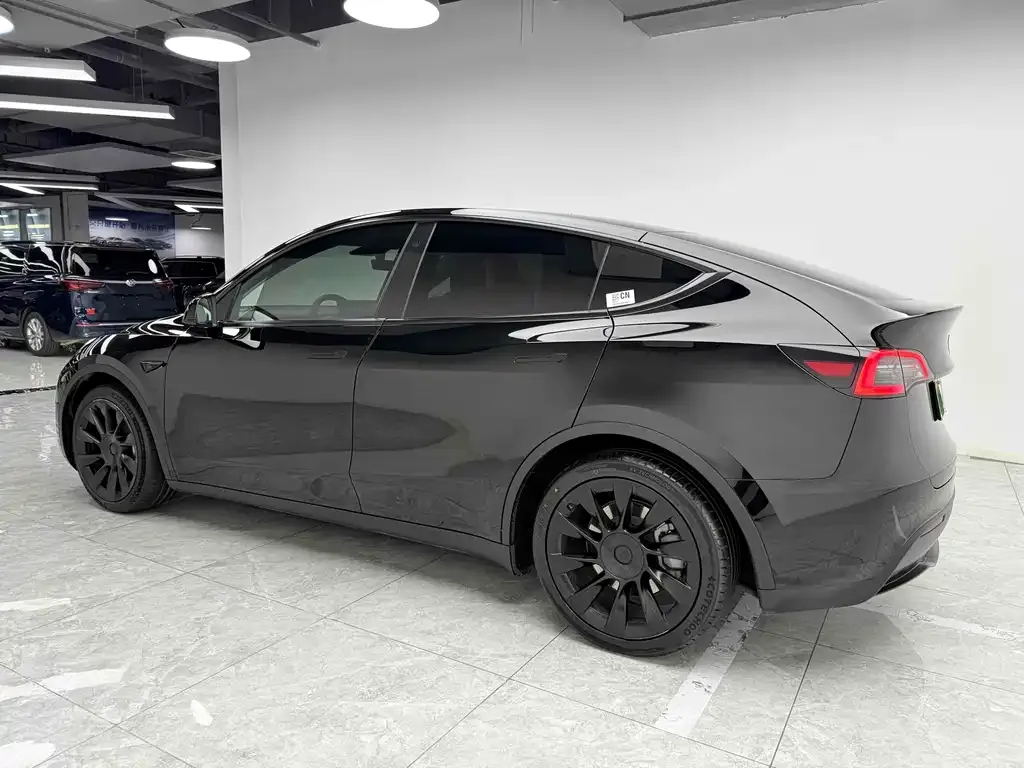 Tesla Model Y 2021 из CN, фото 6