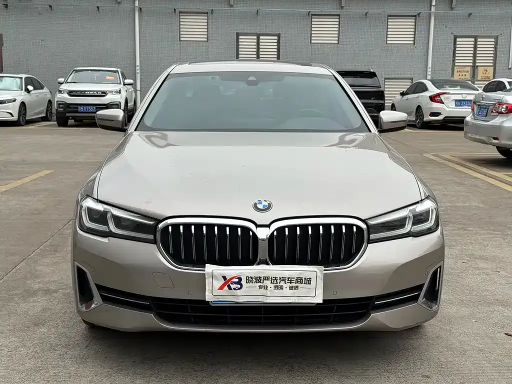 BMW 5 Series 2022 из CN, фото 3