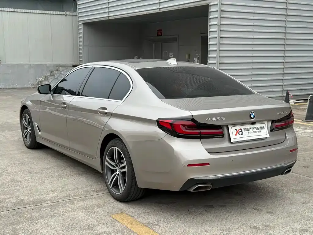 BMW 5 Series 2022 из CN, фото 4