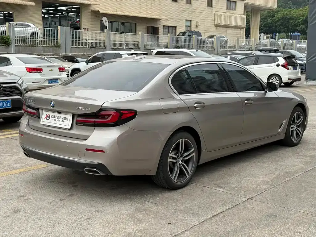 BMW 5 Series 2022 из CN, фото 5