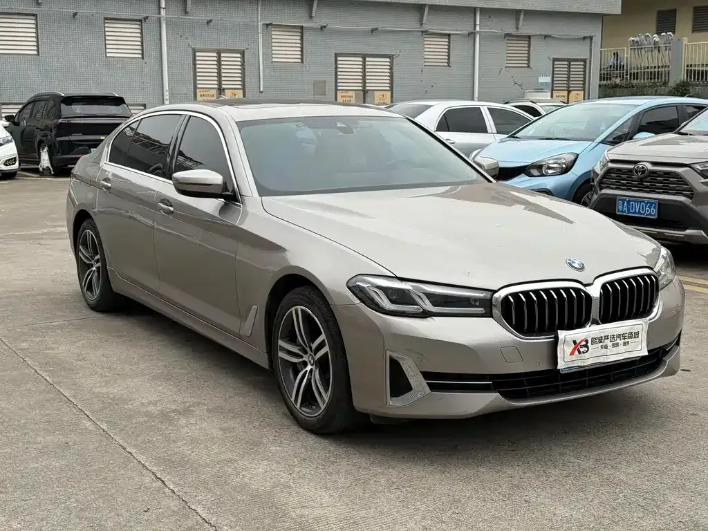 BMW 5 Series 2022 из CN, фото 7