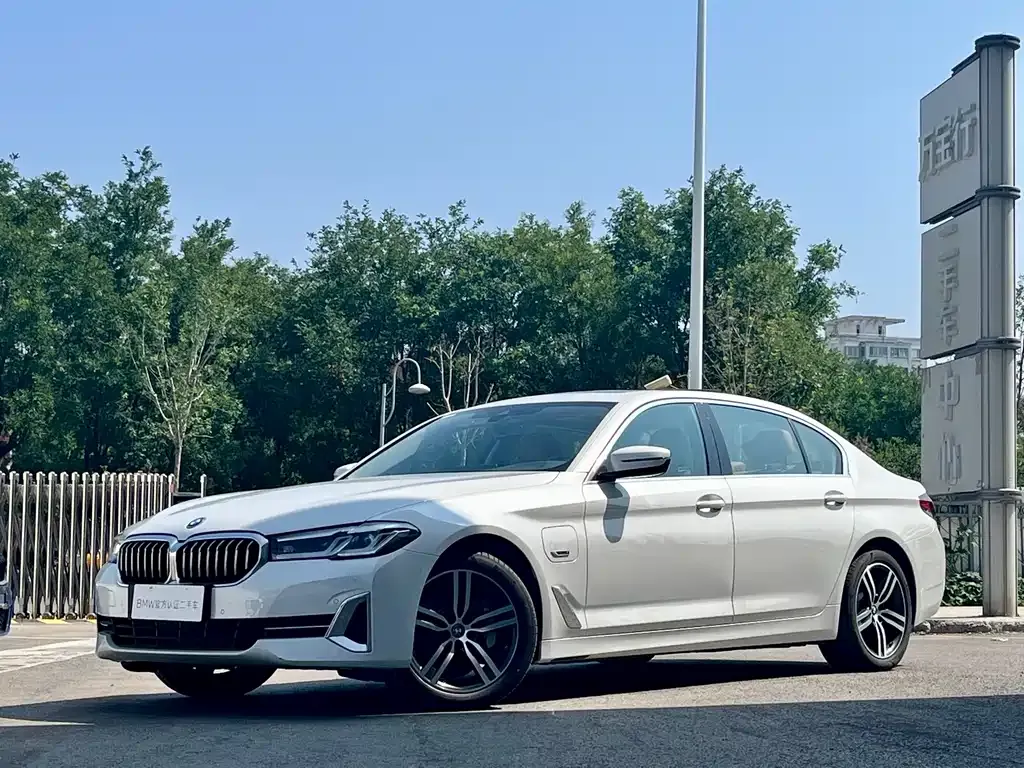 BMW 5 Series New Energy 2023 из CN, фото 1