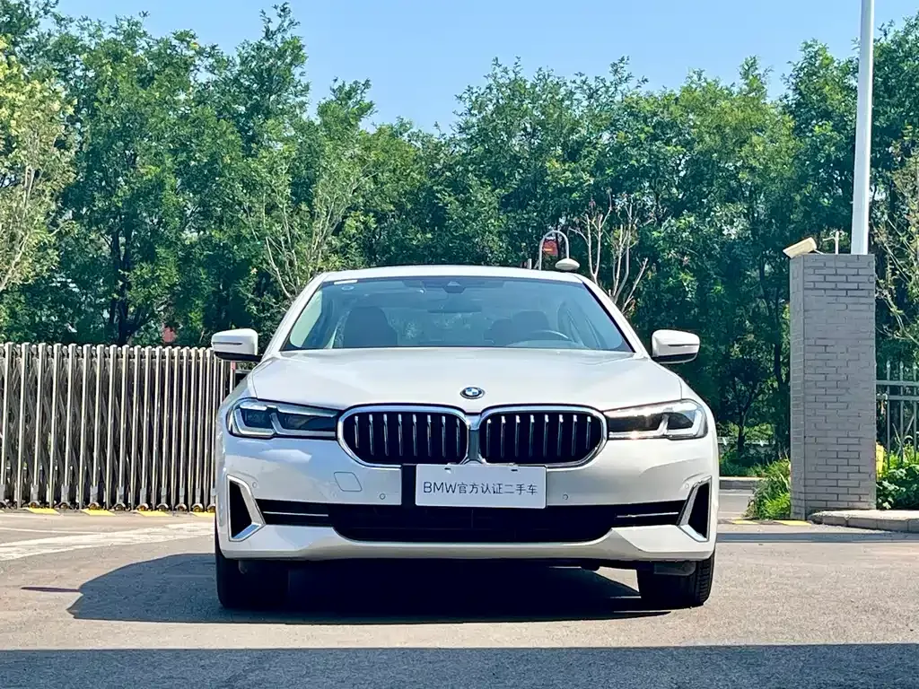 BMW 5 Series New Energy 2023 из CN, фото 6