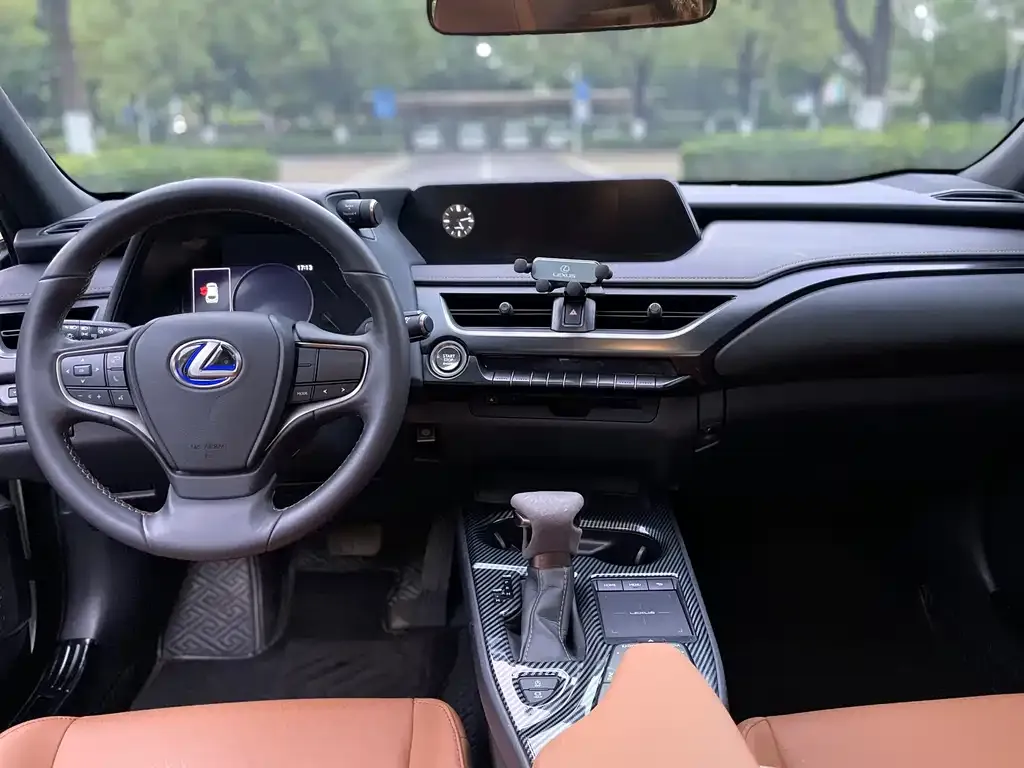 Lexus UX 2021 из CN, фото 6