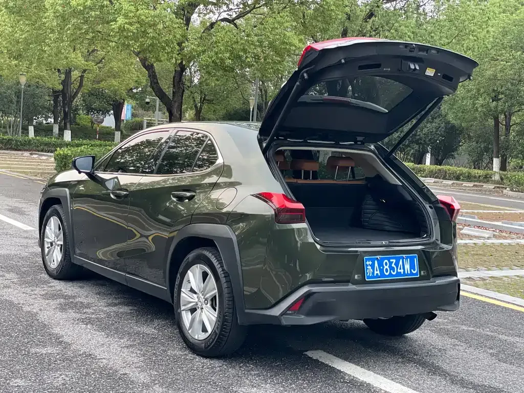 Lexus UX 2021 из CN, фото 8