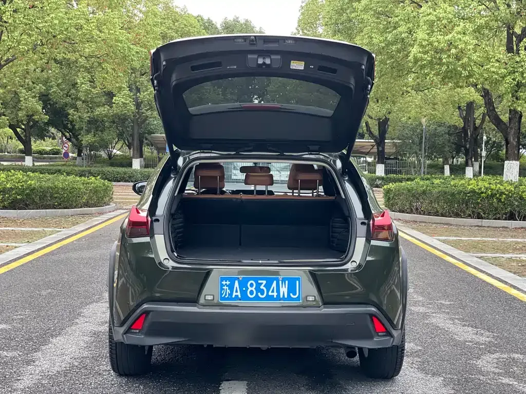 Lexus UX 2021 из CN, фото 9