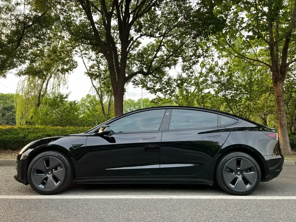 Tesla Model 3 2023 из CN, фото 2