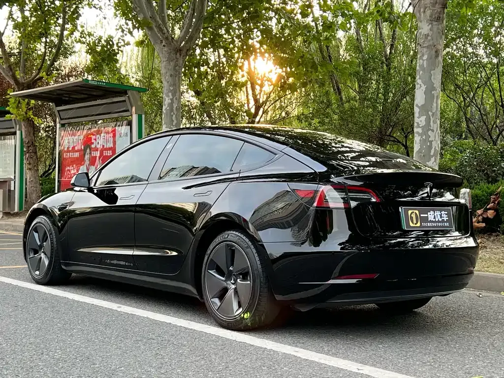 Tesla Model 3 2023 из CN, фото 3