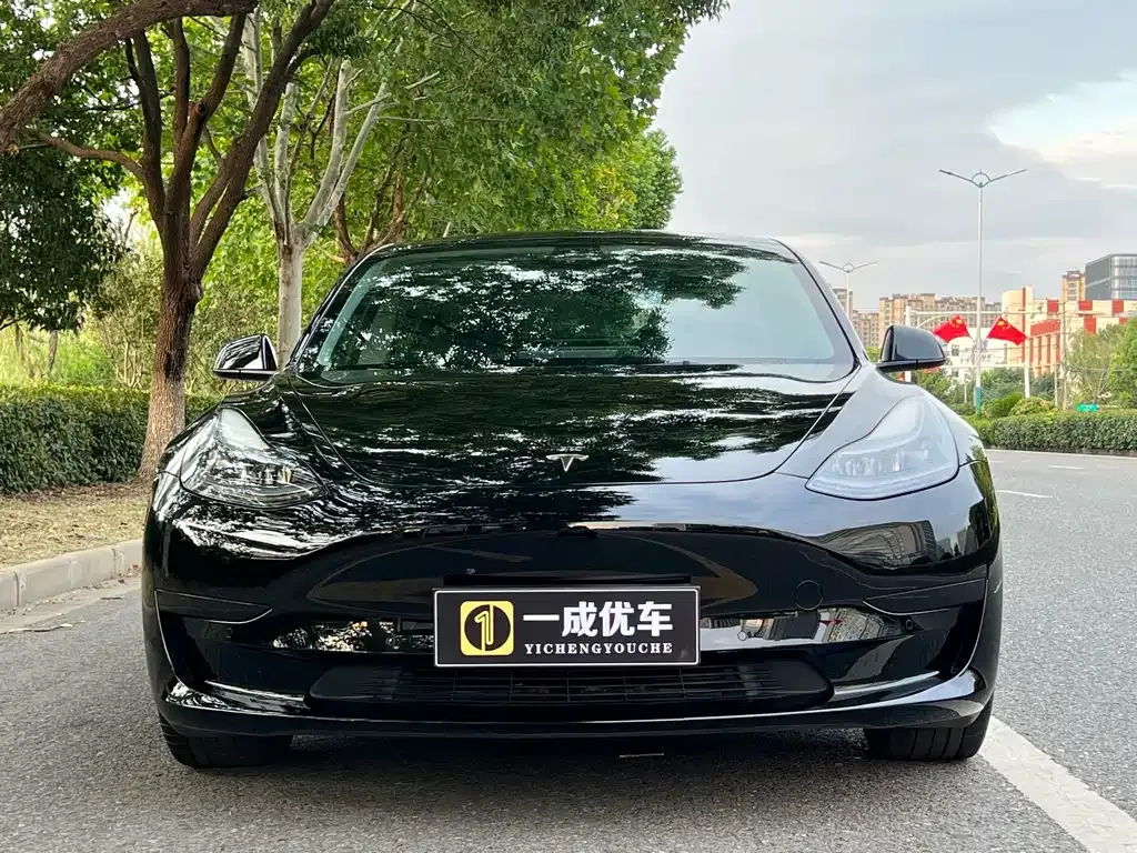 Tesla Model 3 2023 из CN, фото 8