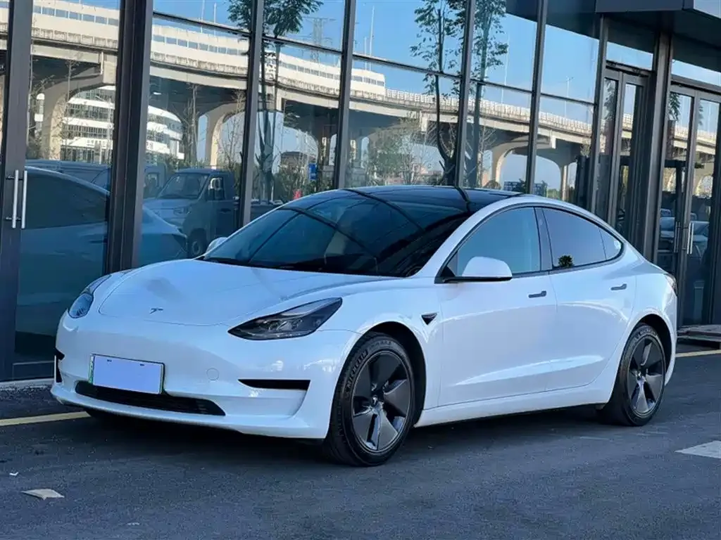 Tesla Model 3 2021 из CN, фото 1