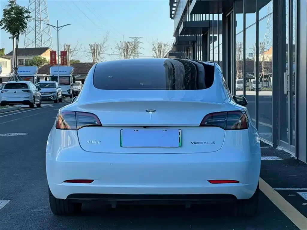 Tesla Model 3 2021 из CN, фото 10