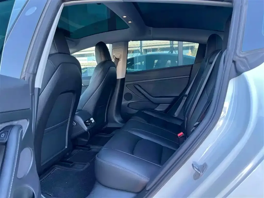 Tesla Model 3 2021 из CN, фото 2