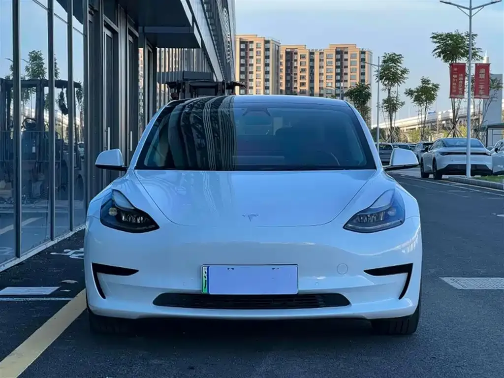 Tesla Model 3 2021 из CN, фото 6