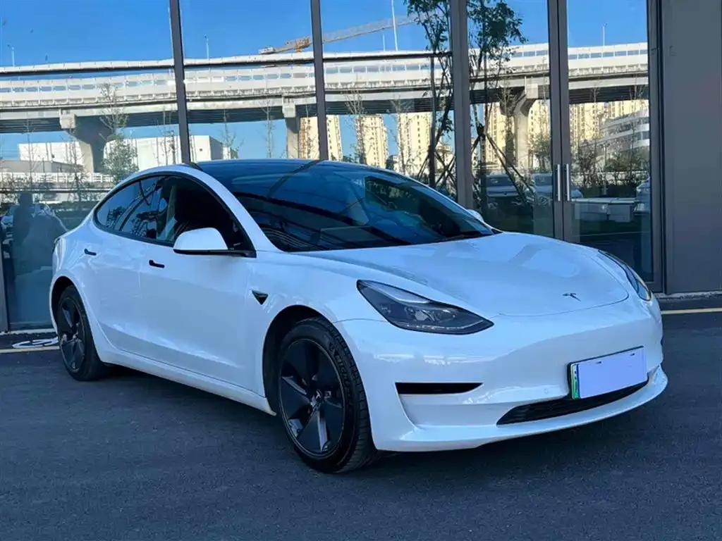Tesla Model 3 2021 из CN, фото 7