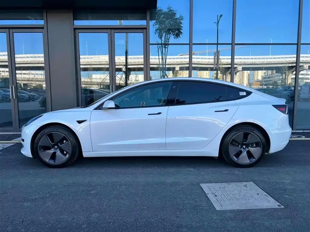 Tesla Model 3 2021 из CN, фото 8