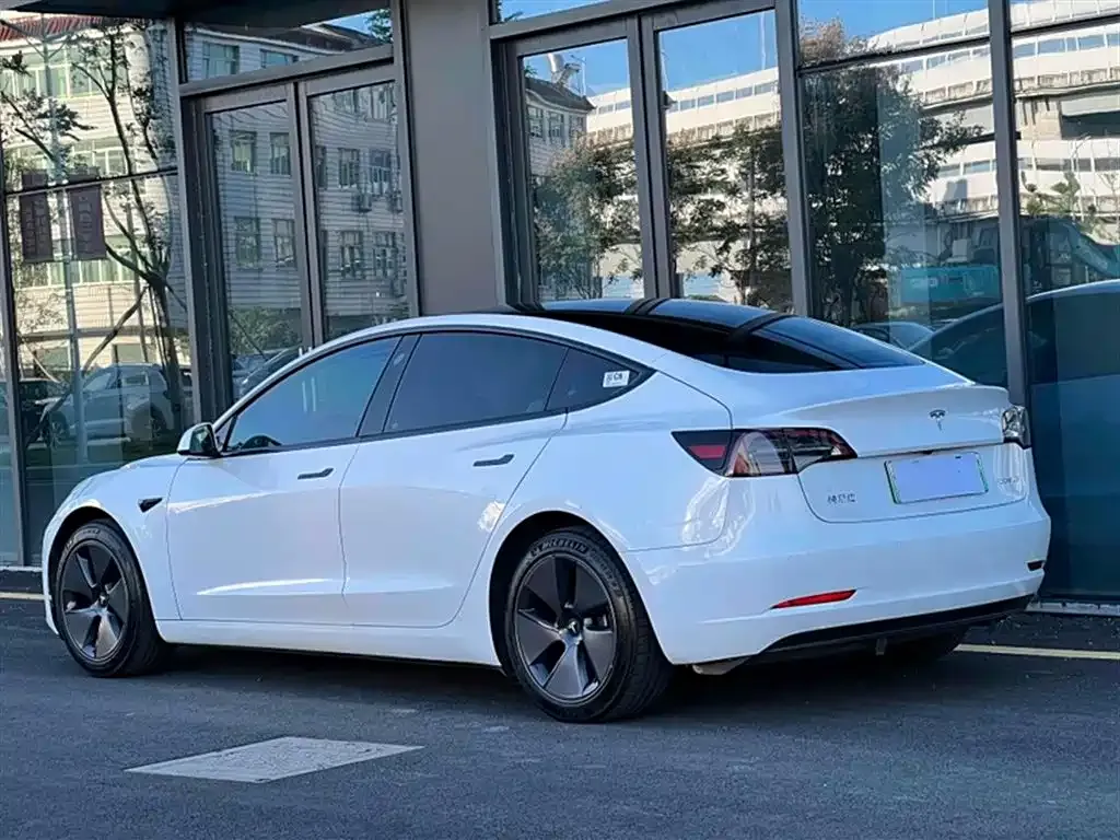 Tesla Model 3 2021 из CN, фото 9