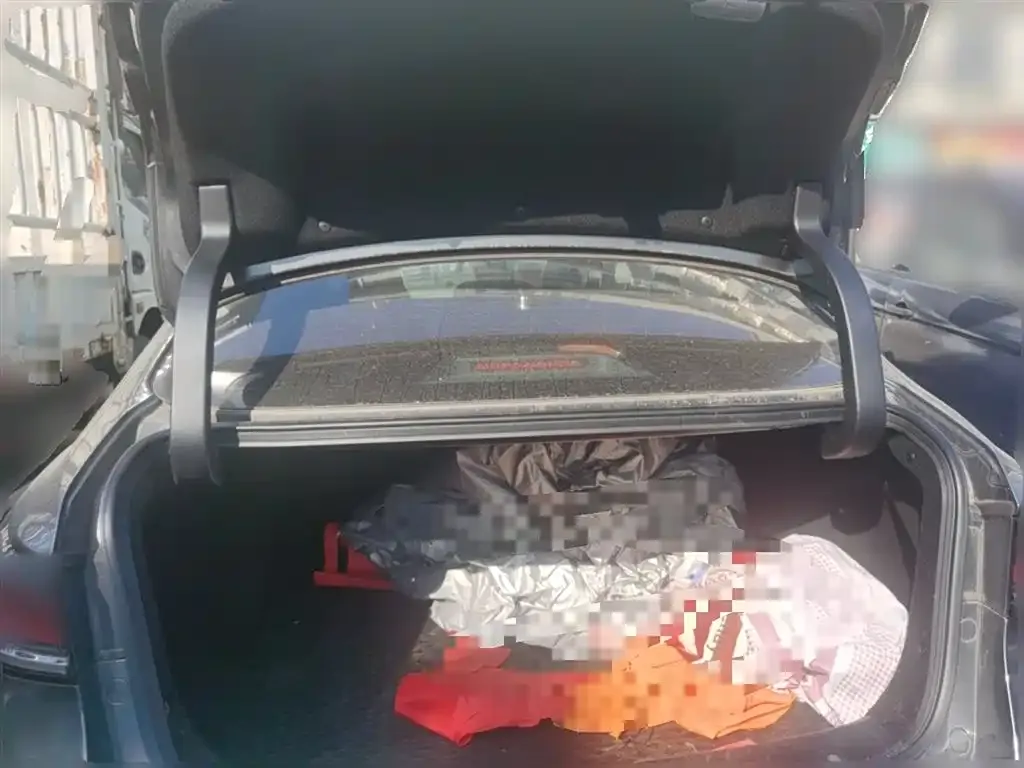 Changan Ruicheng PLUS 2023 из CN, фото 10