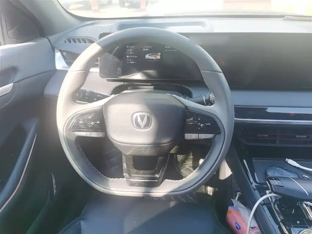 Changan Ruicheng PLUS 2023 из CN, фото 3