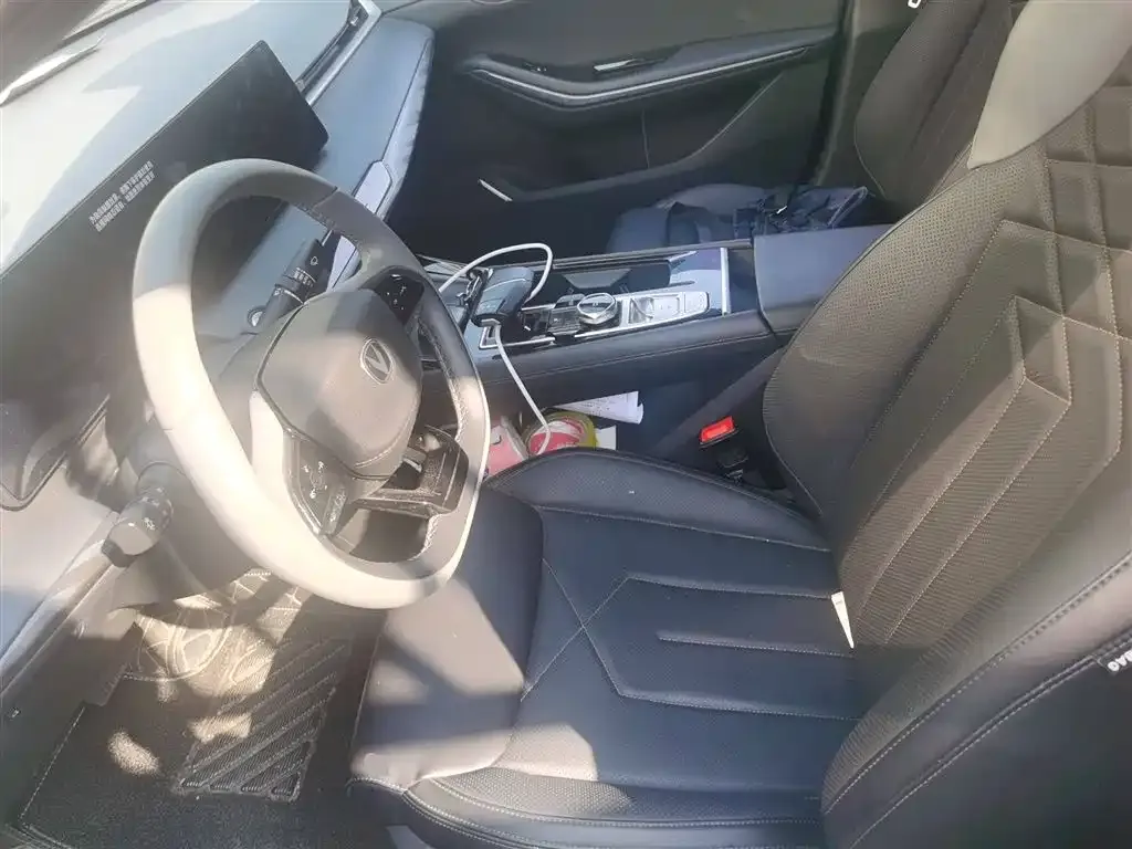 Changan Ruicheng PLUS 2023 из CN, фото 8