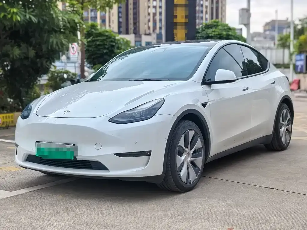 Tesla Model Y 2021 из CN, фото 1