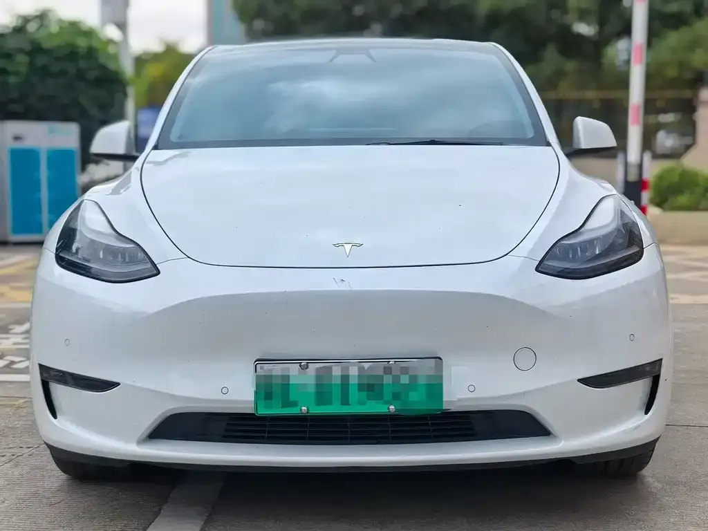 Tesla Model Y 2021 из CN, фото 2