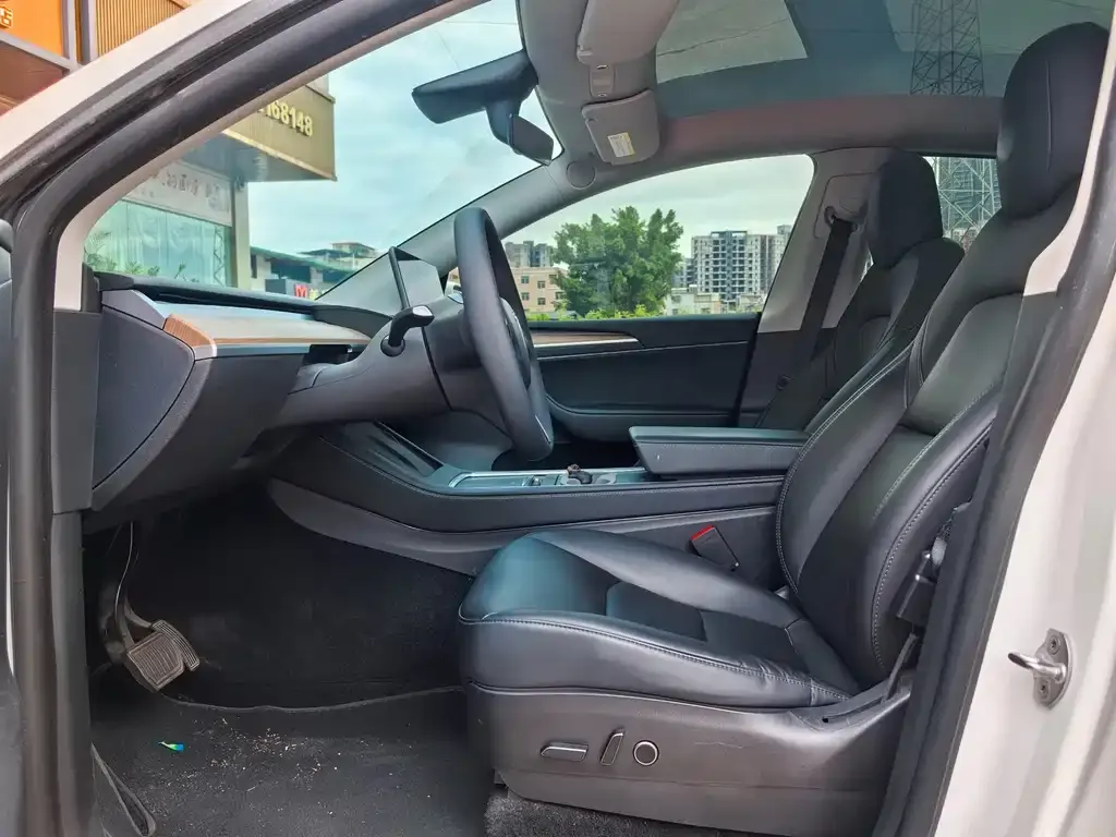 Tesla Model Y 2021 из CN, фото 5