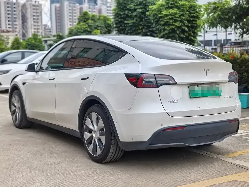 Tesla Model Y 2021 из CN, фото 6