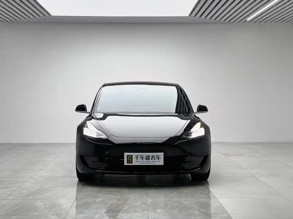 Tesla Model 3 — фото 2