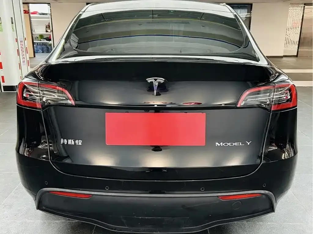 [object Object] Model Y 2021 из CN, фото 3