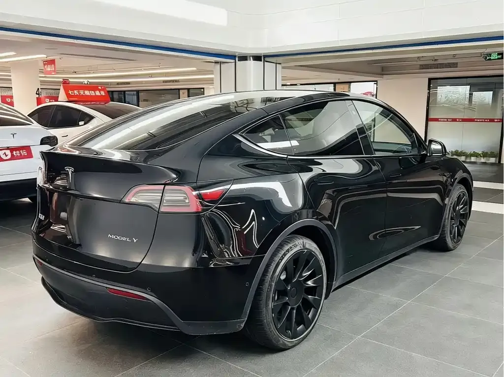 [object Object] Model Y 2021 из CN, фото 4