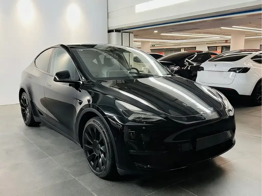 [object Object] Model Y 2021 из CN, фото 5