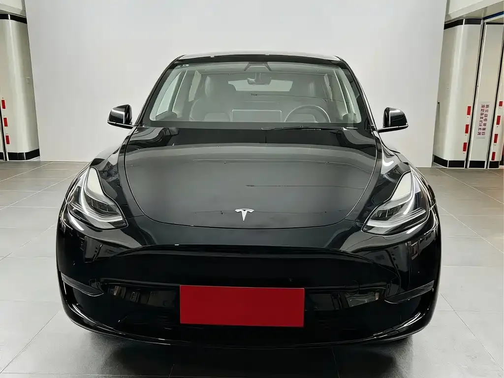 [object Object] Model Y 2021 из CN, фото 6