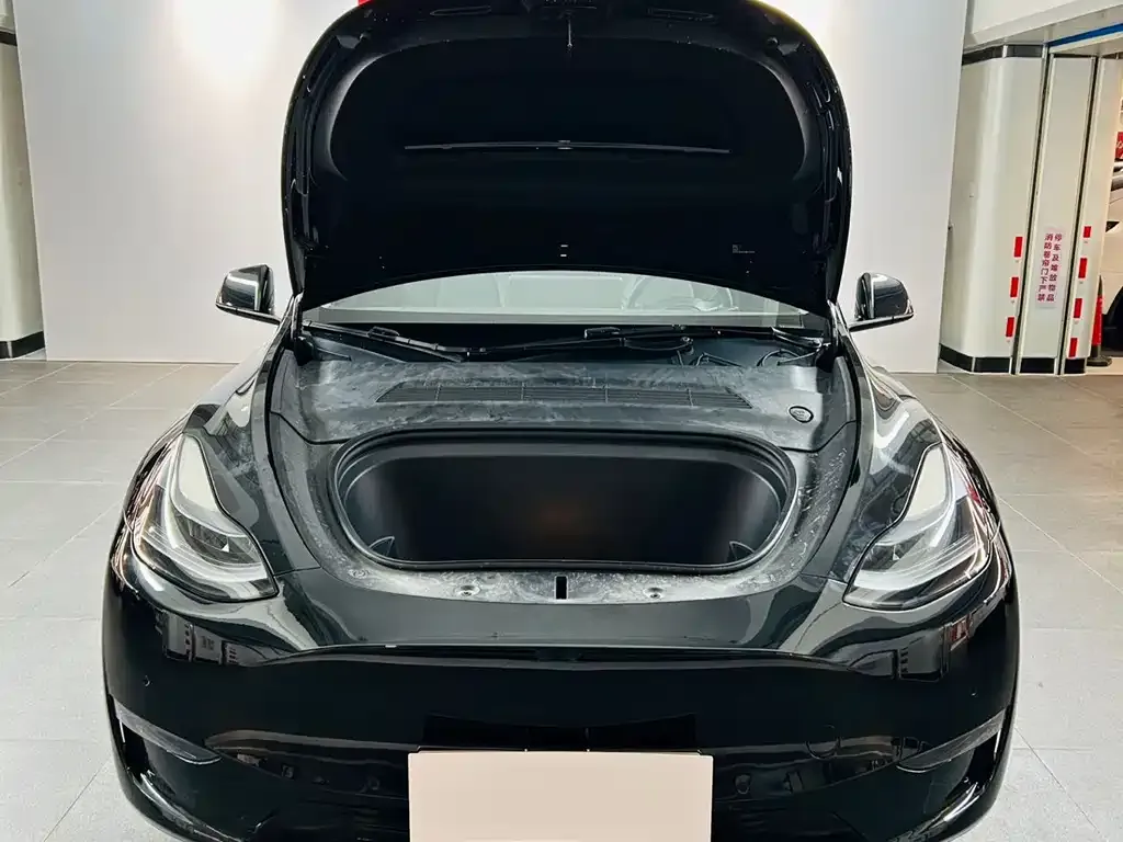 [object Object] Model Y 2021 из CN, фото 7